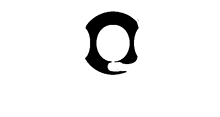 VOX Solutions